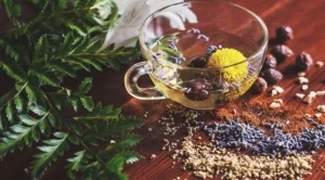 Детоксикиране на тялото с Detoxant