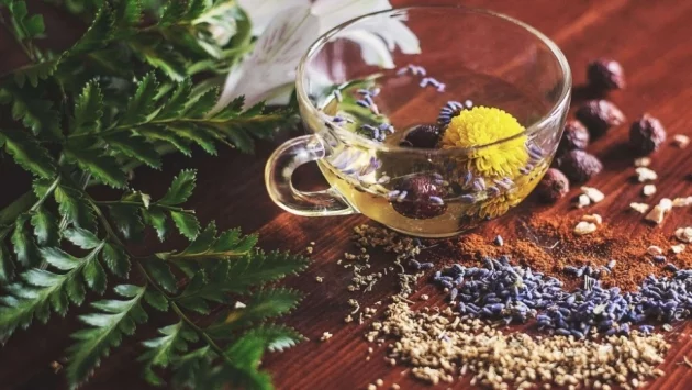 Детоксикиране на тялото с Detoxant