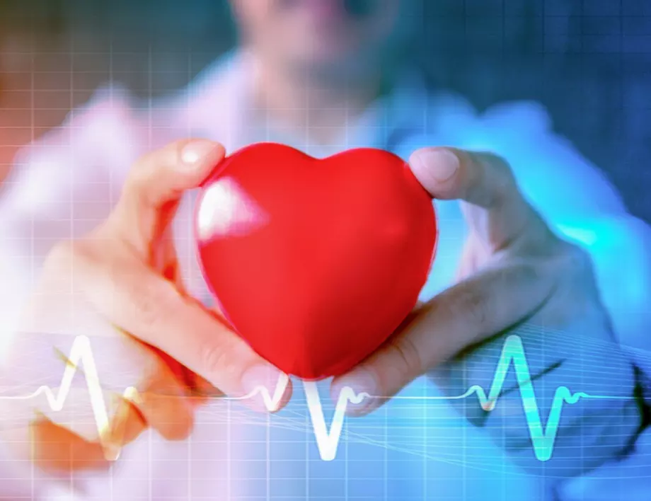 Световен ден на сърцето - 17,5 млн. души умират годишно от сърдечно-съдови заболявания