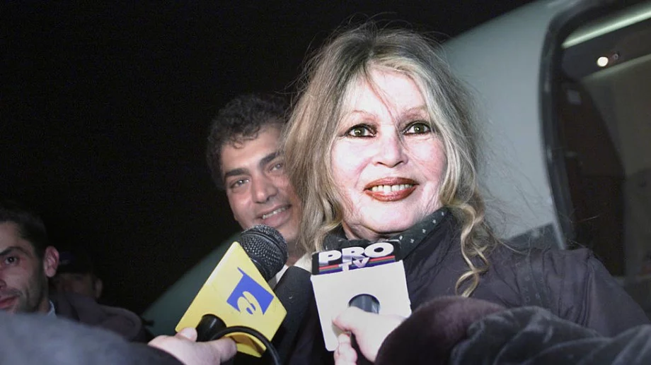 Съдят Бриджит Бардо за расизъм