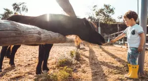 Отварят и софийския зоопарк
