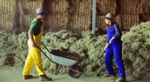 Земеделците подават заявления за помощи заради войната в Украйна