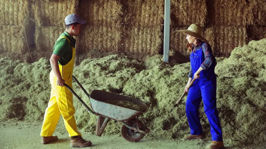 Земеделците подават заявления за помощи заради войната в Украйна