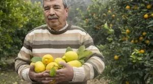 Ще останат ли земеделци в Турция?