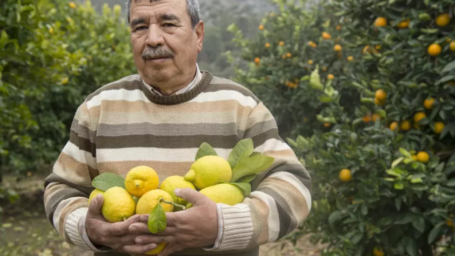 Ще останат ли земеделци в Турция?