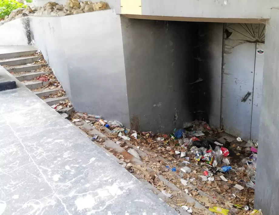 Над 42 000 лв. е похарчила община Асеновград за почистване на нерегламентирани сметища