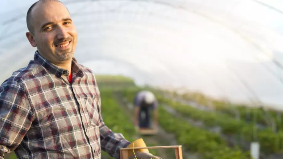 Защо земеделци предпочитат да използват акумулаторни пръскачки?