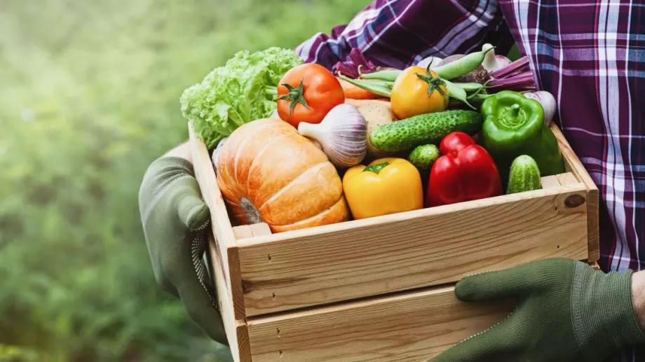 Последен ден за Covid помощи за земеделци