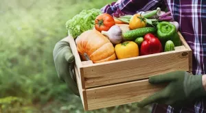 Отвориха мярката за преработка и маркетинг на селскостопански продукти