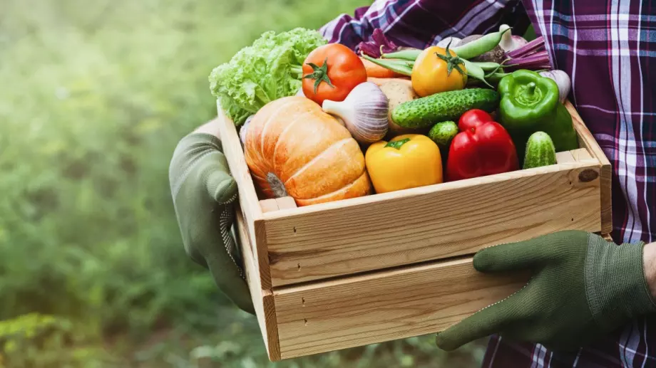 Отвориха мярката за преработка и маркетинг на селскостопански продукти