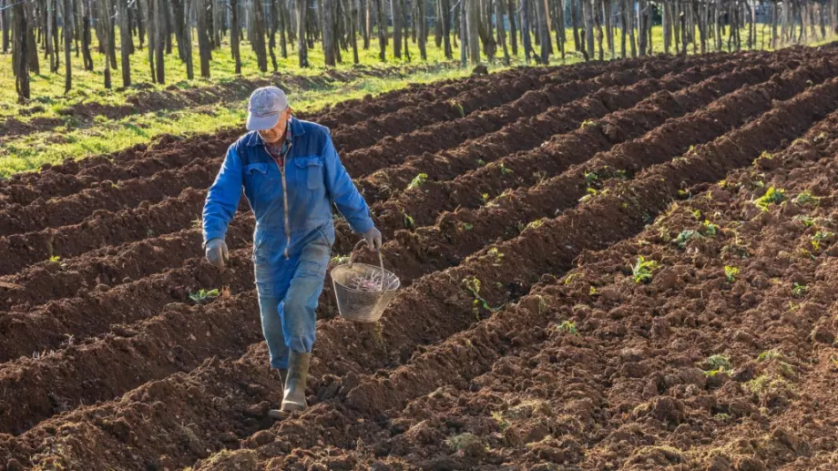 Може ли вносът на чужди работници да спаси земеделието ни?