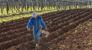 Инспектори по труда проверяват нивите и фермите