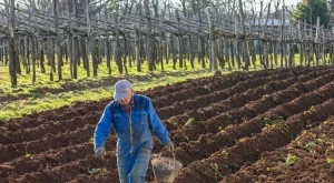 Инспекцията по труда с ударни проверки в края на активния земеделски сезон