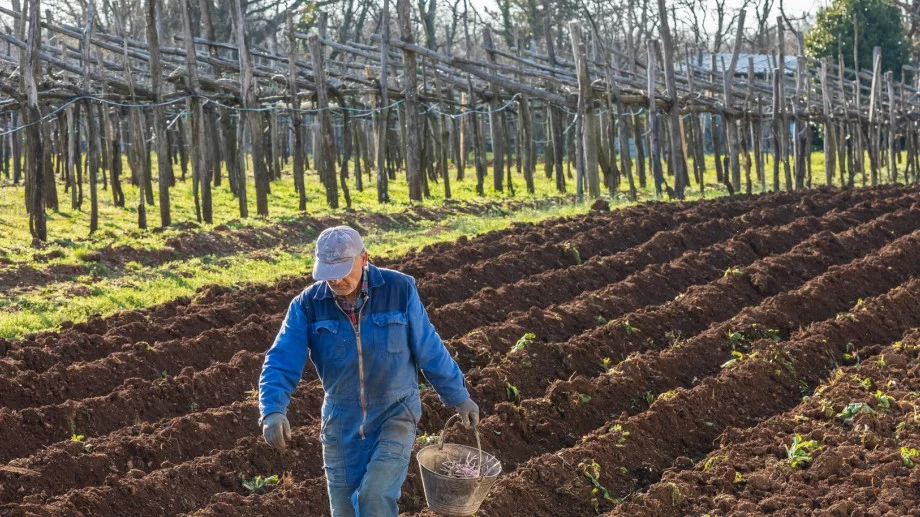 Инспекцията по труда с ударни проверки в края на активния земеделски сезон