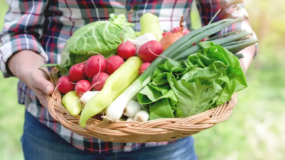 Държавата помогнала с пари на над 12 000 земеделци