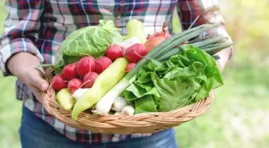 Близо 160 земеделци ще вземат пари за стартиране на бизнес