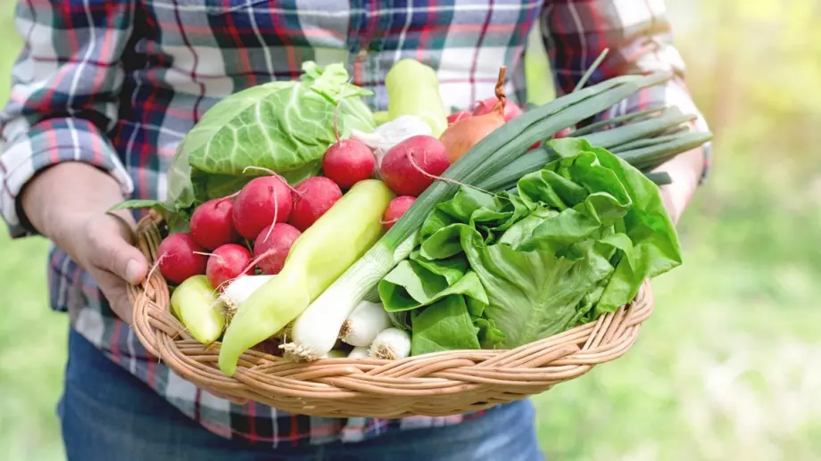 Близо 160 земеделци ще вземат пари за стартиране на бизнес