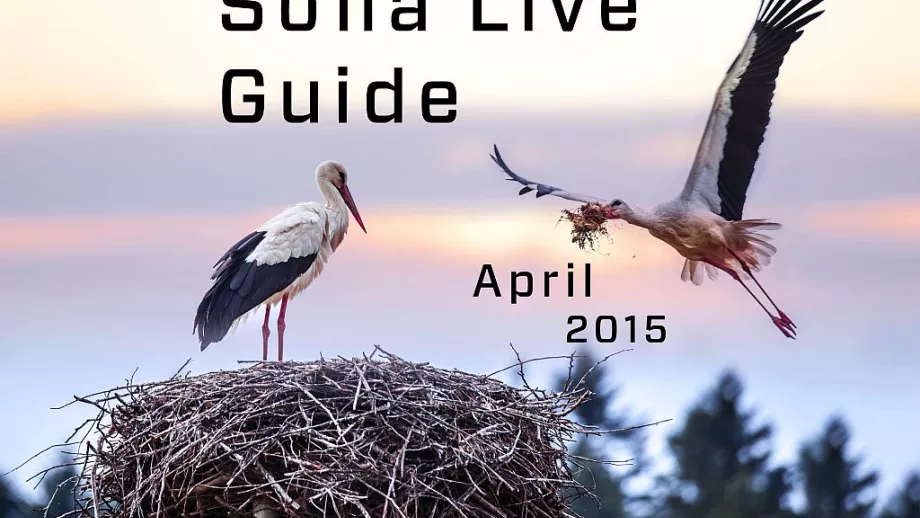 Sofia Live Guide