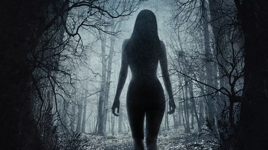 Вещи в занаята