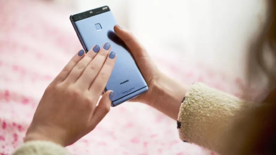 Sofia Live Christmas Guide