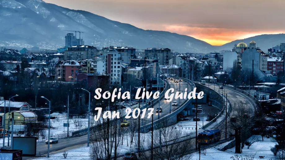 Sofia Live Guide
