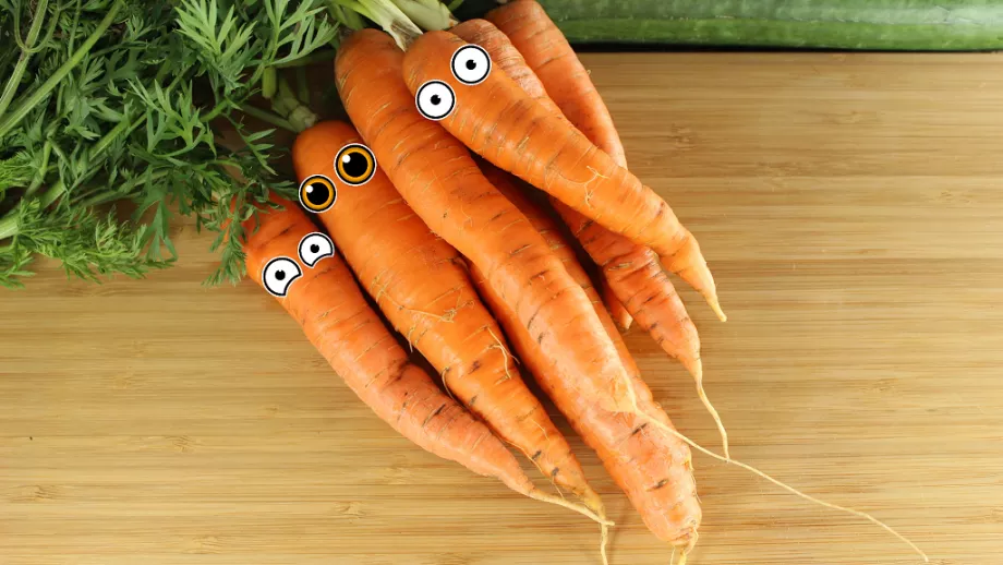 Ние сме био и сме бейби