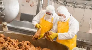 Германия затяга правилата в кланиците. Ще поскъпне ли месото?