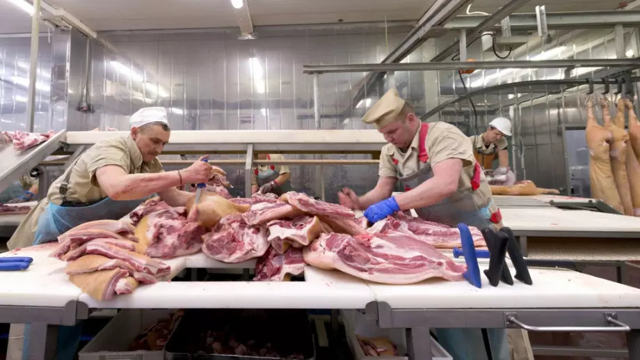 И холандските кланици станаха огнище на коронавирус