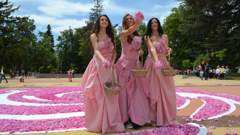 72 000 казанлъшки рози в една (СНИМКИ)