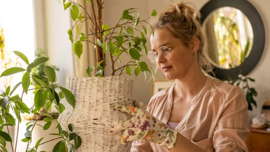 Тези знаци издават, че растенията ви не са добре