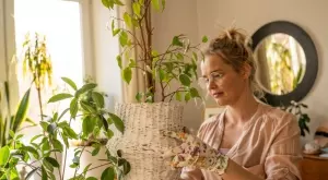 5 домашни растения, които ще ароматизират дома ви