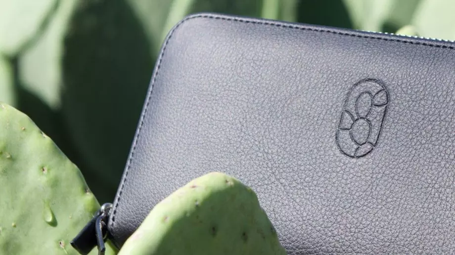 Еко: Веган кожа от кактуси (ВИДЕО)