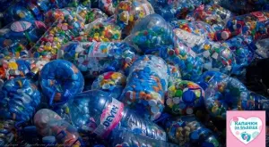 Пролетна кампания на "Капачки за бъдеще" ще се проведе този уикенд в страната