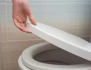 Каква е причината японците да слагат сол в тоалетната?