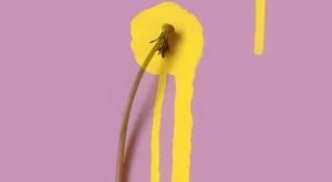 "Братовчедката на Зорбас" - книжният хит на лятото