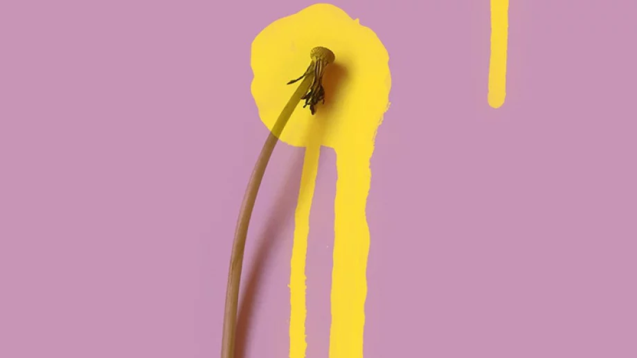 "Братовчедката на Зорбас" - книжният хит на лятото