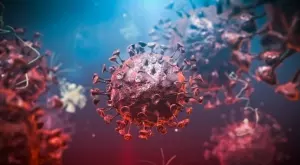 2020/06/29/0317399001593450835