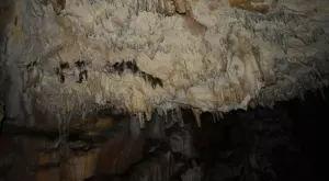  {{ otherArticle[0].article.title }} 