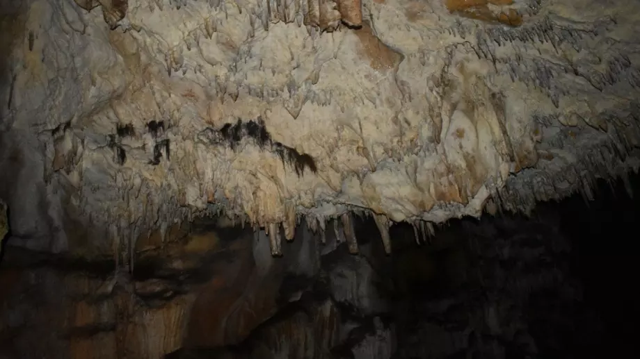 Робот-екскурзовод показва подземния свят на туристи в Гърция