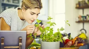 5 билки, подходящи за гледане у дома