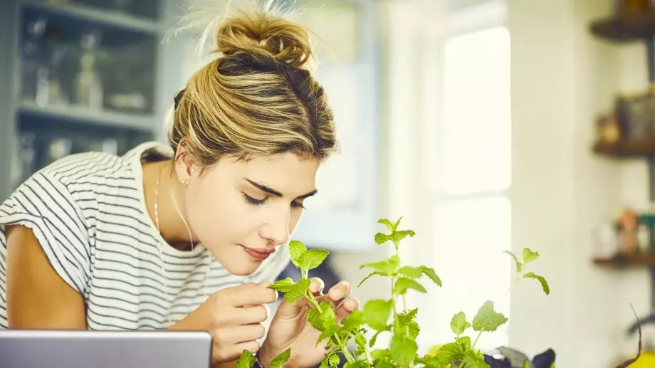 Няколко ефективни начина да подобрим настроението си   