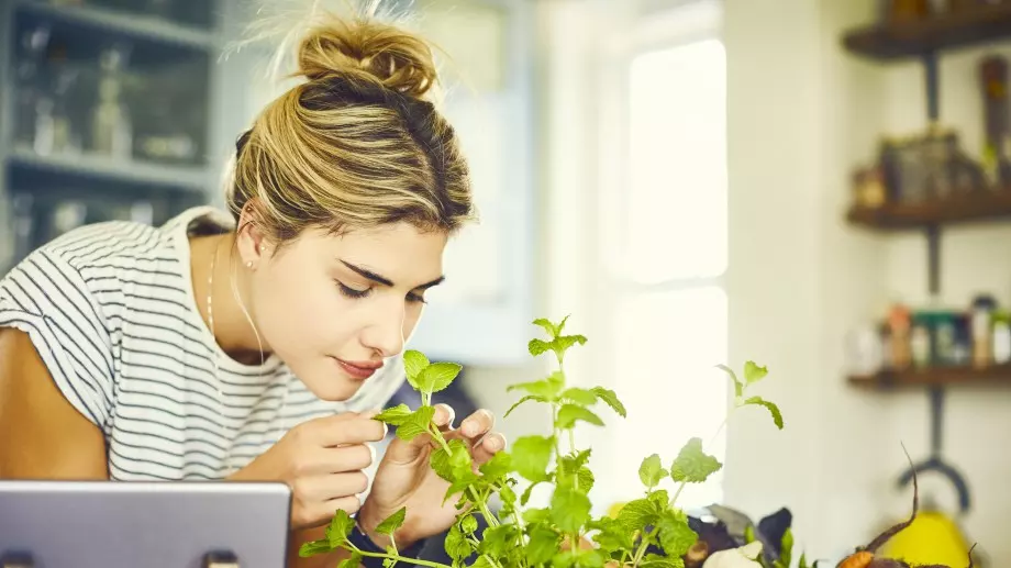 Най-полезните билки за всяка зодия