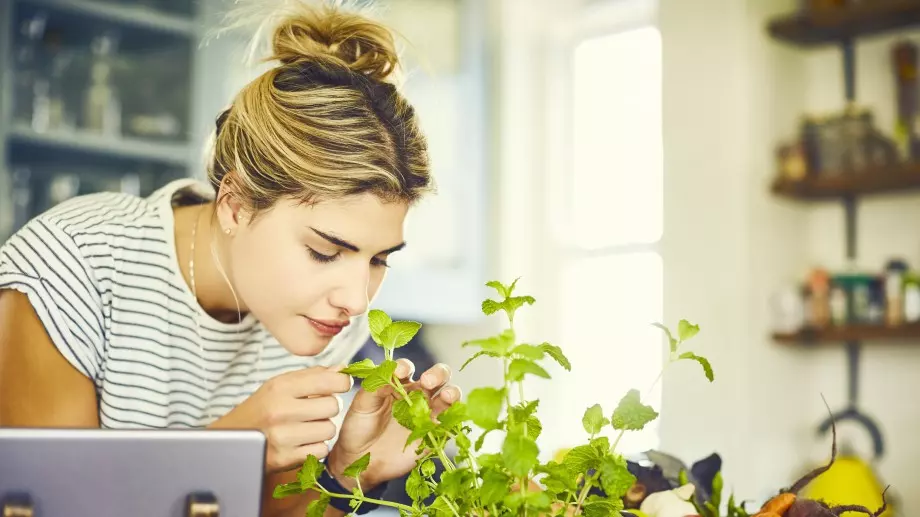 Ако има нещо, без което не можем, когато става въпрос