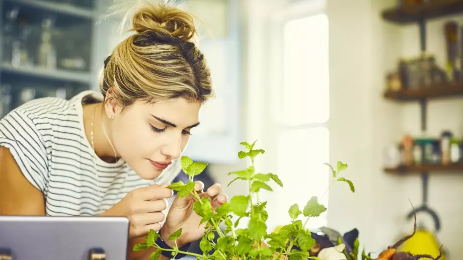 Супер билките са известни от векове, че имат ползи за