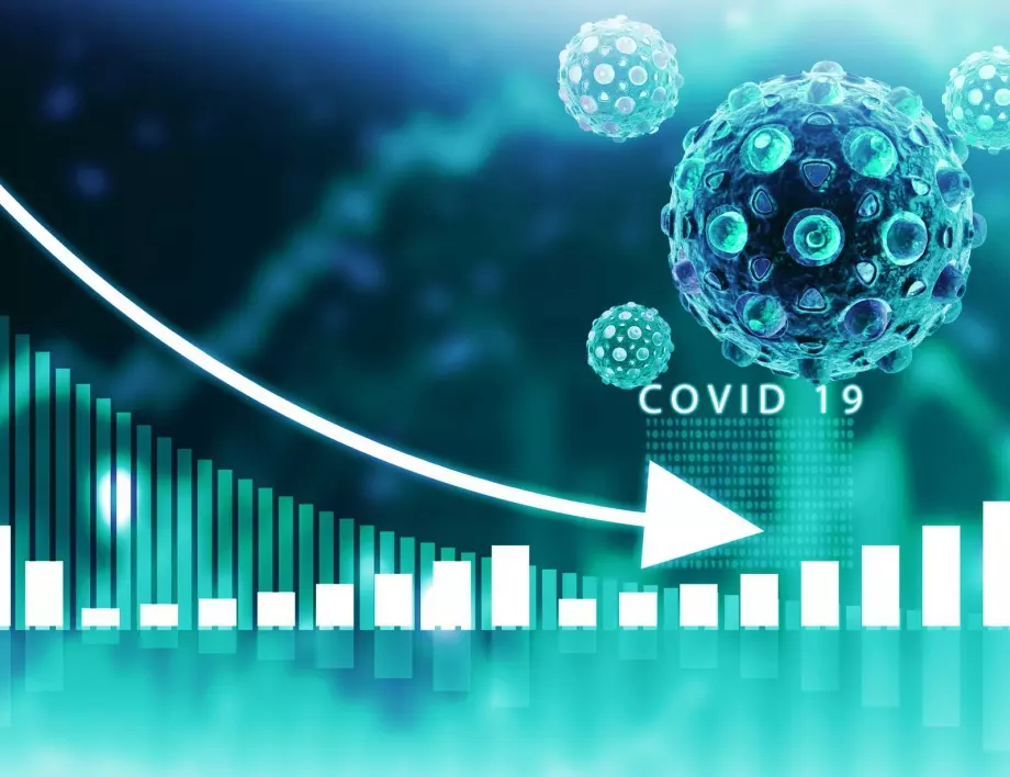 БСК: COVID-19 увеличи предприятията в несъстоятелност