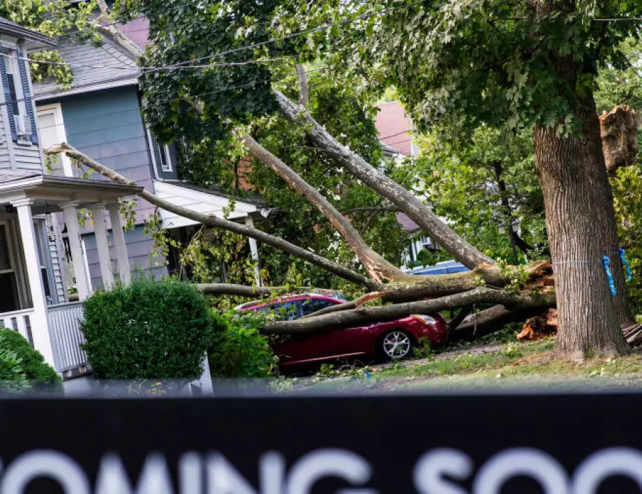 Бурята "Елза" стовари дърво върху кола и един човек загина във Флорида