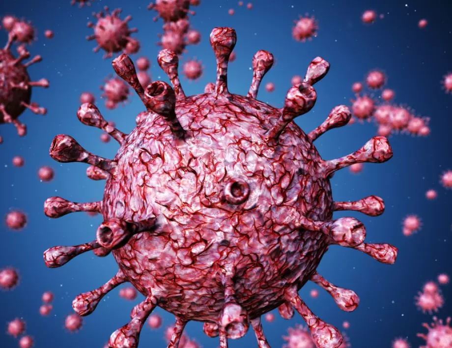 Доминиращата мутация на коронавируса сега е негова "ахилесова пета"