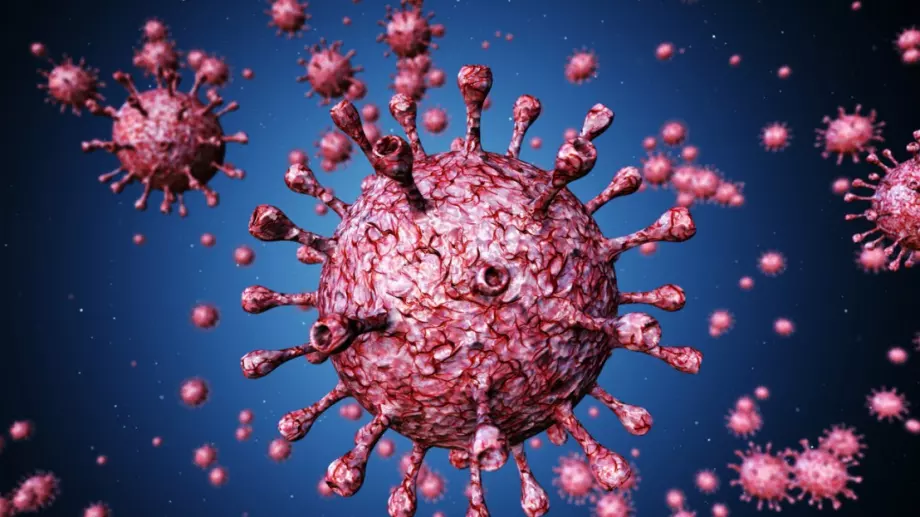 Откриха ензим, влияещ на коронавируса 