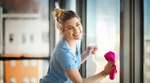 Супер ефективен домашен препарат за стъкла