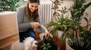 Растенията, които са опасни за кучето ви